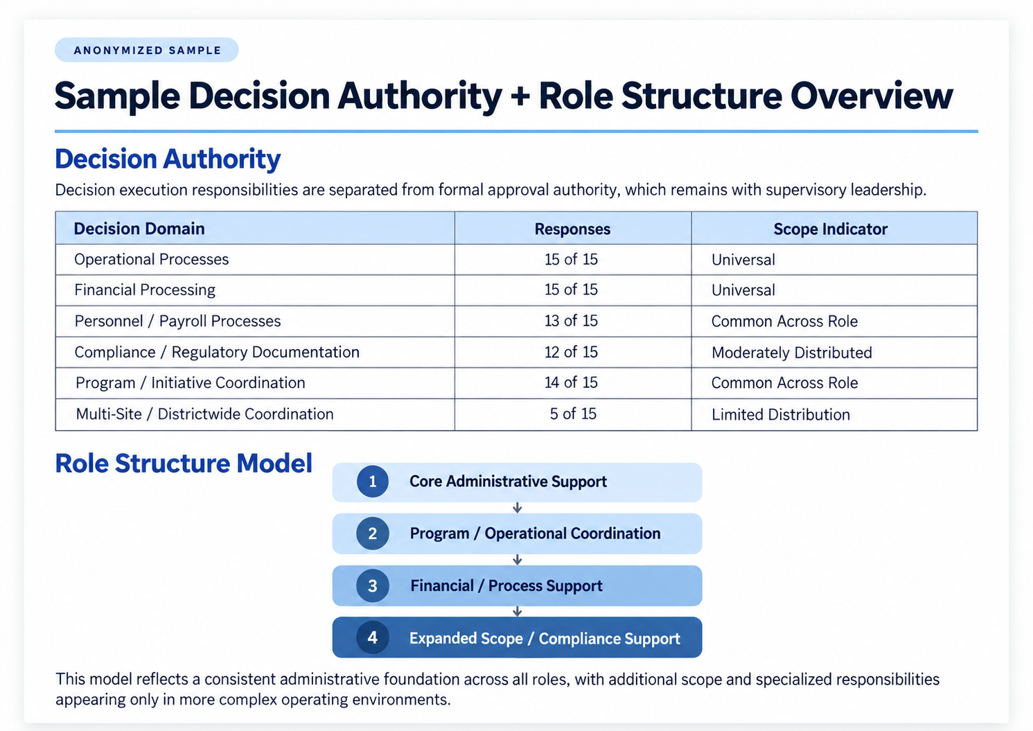 Anonymized sample: Decision Authority + Role Structure Overview