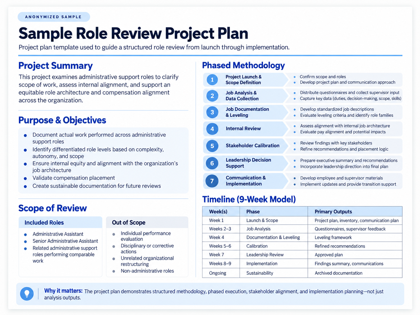 Anonymized sample: Role Review Project Plan